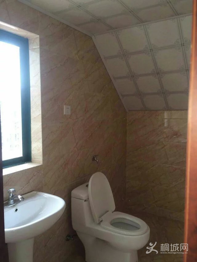 p5.jpg