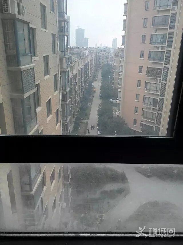 QQͼƬ20151221163557.jpg