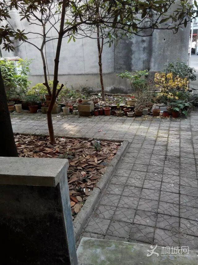 QQͼƬ20160104092758.jpg