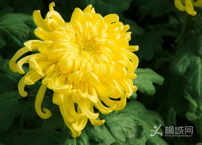 伸֧ջǰ.jpg