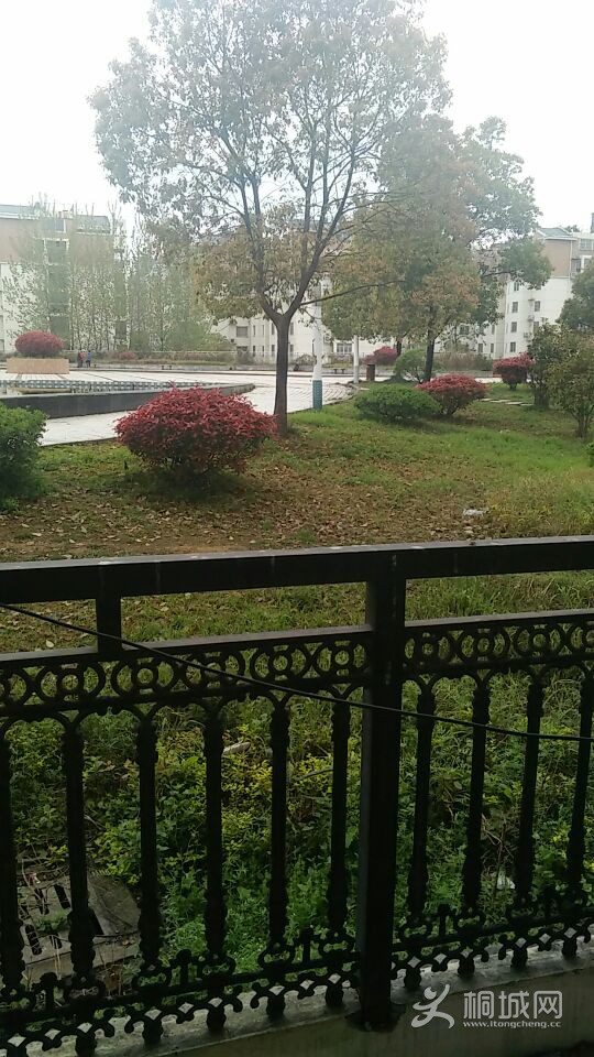 QQͼƬ20160407095155.jpg