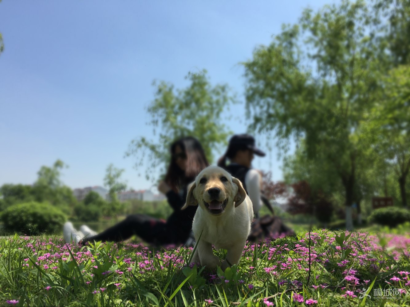 QQͼƬ20160419151822.jpg