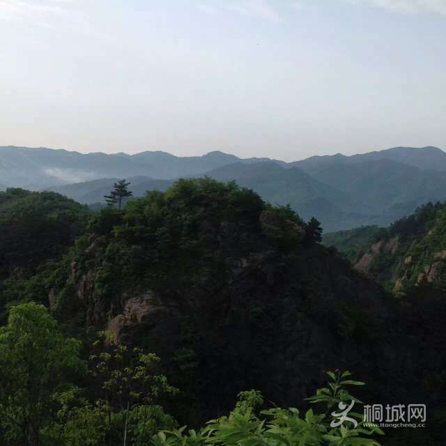 ɽ����Ϊ��