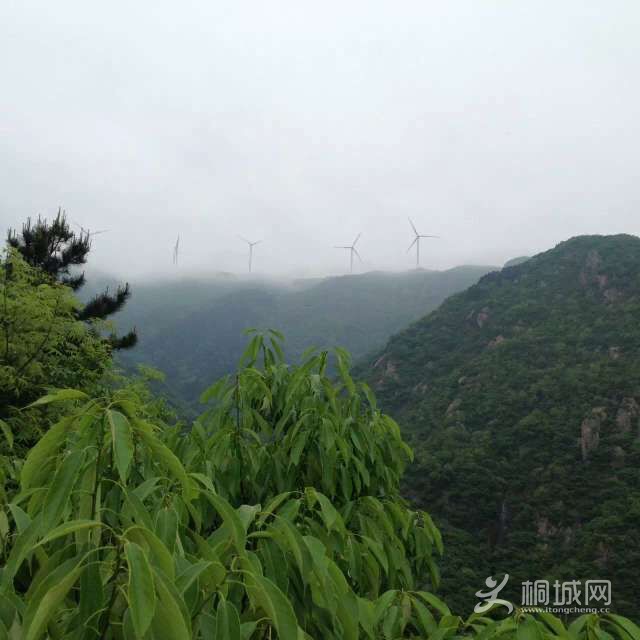 Զ�۷�������