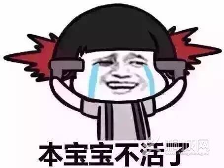111.jpg