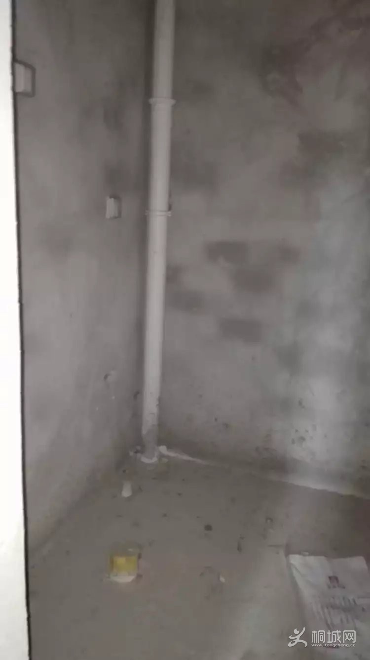 psb (8).jpg