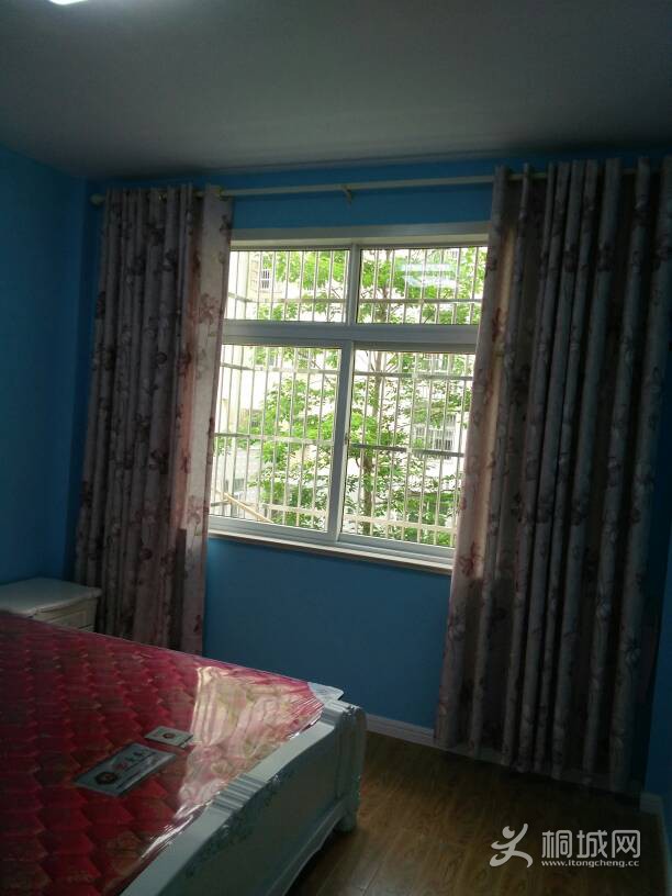 181508atni3g5hrrri55it.jpg