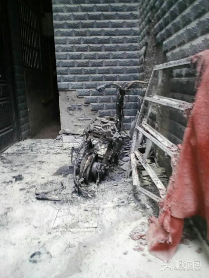 ����綯����Ȼ���ͼƬ