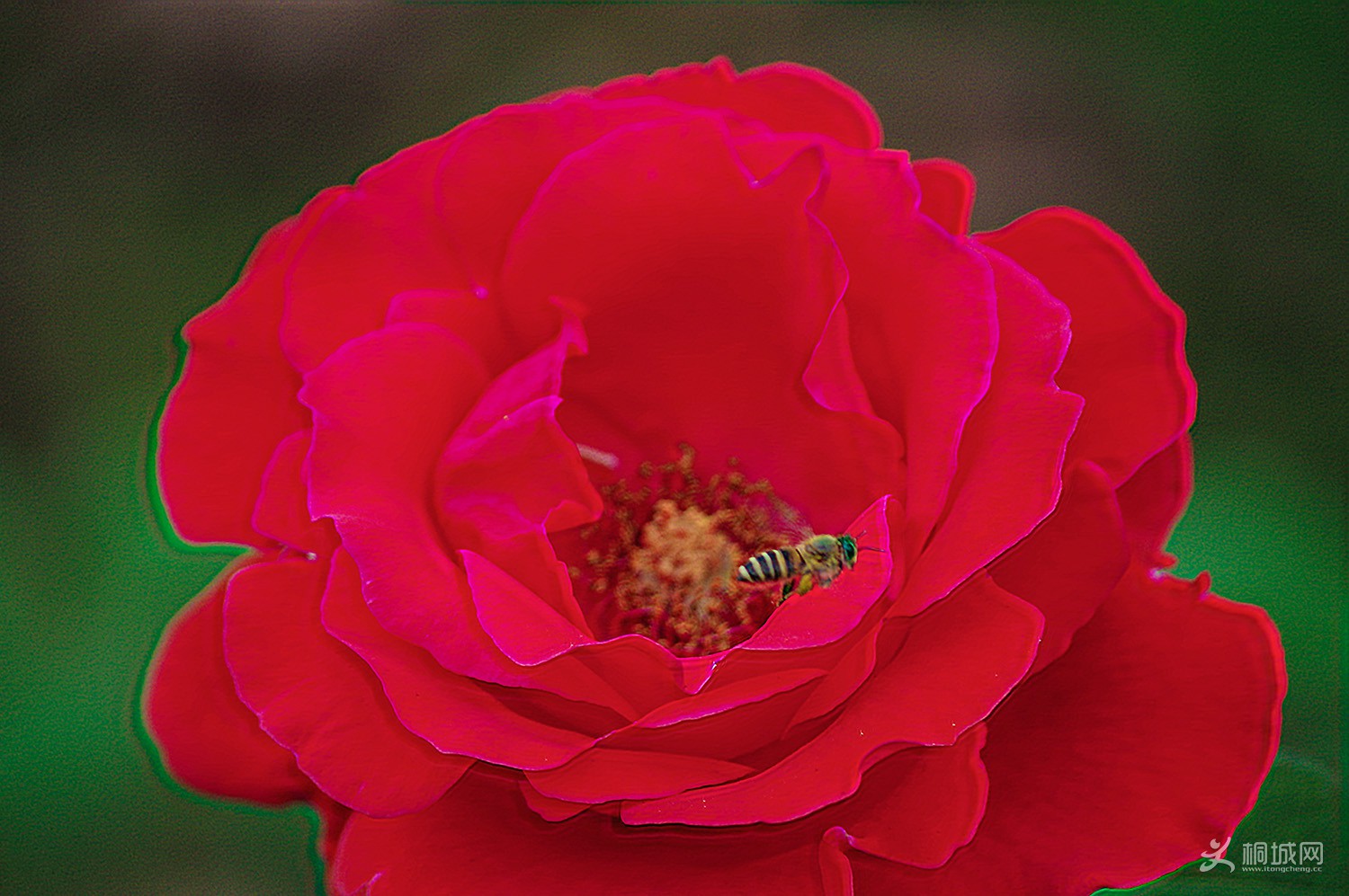 140229pm85xpz5eh44hnj5 (1).jpg