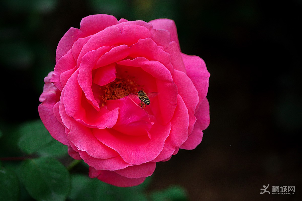 140321jlpqn62qppshh02n (1).jpg