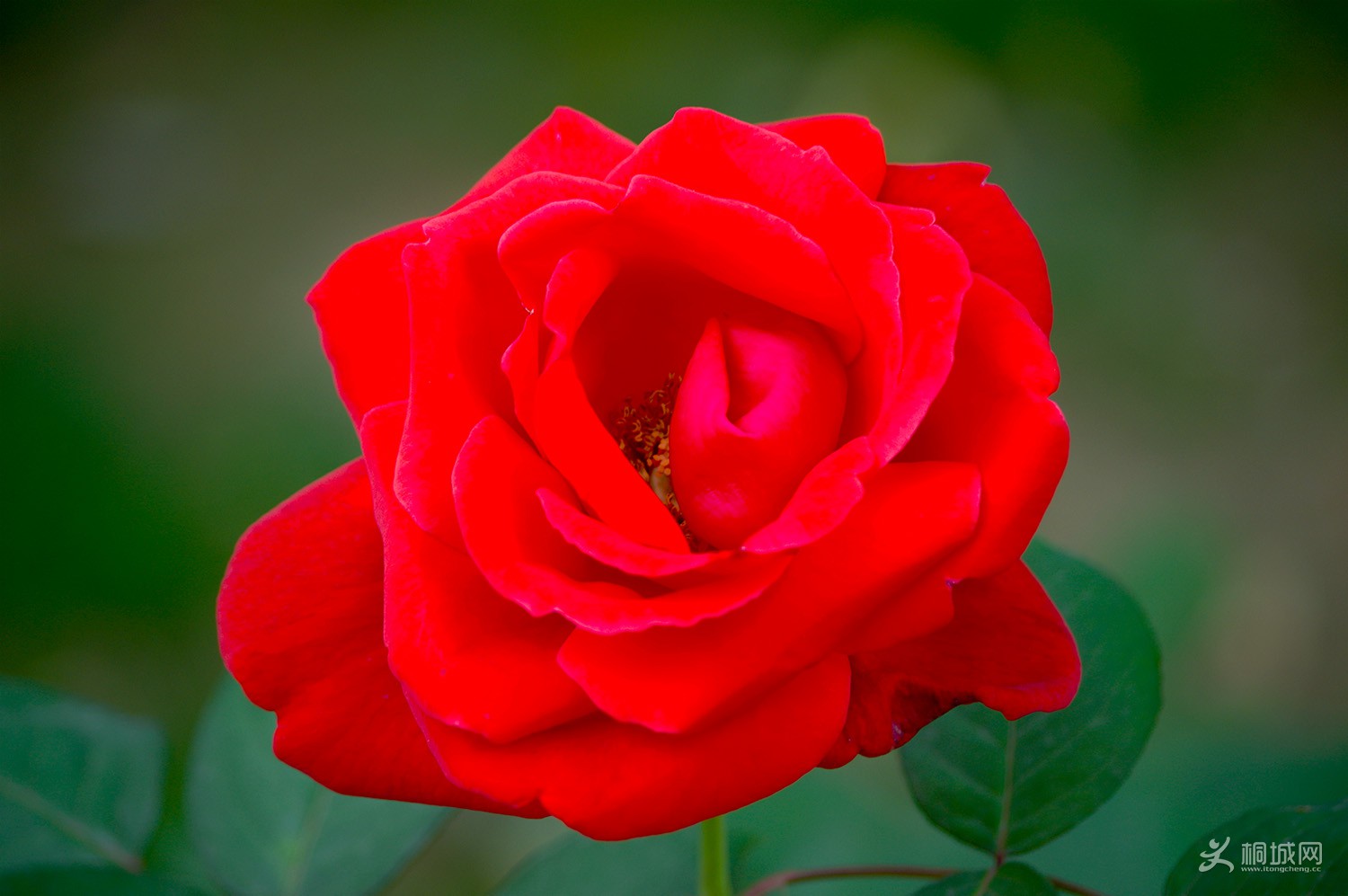 140431u890rjxxlxzof0c1 (1).jpg