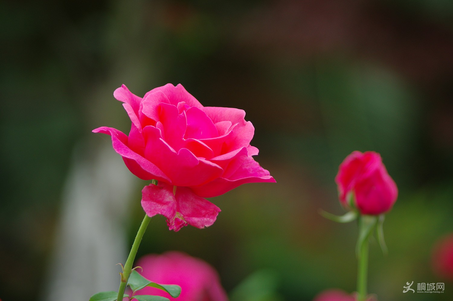 140529qgilavzavvukzi8i (1).jpg