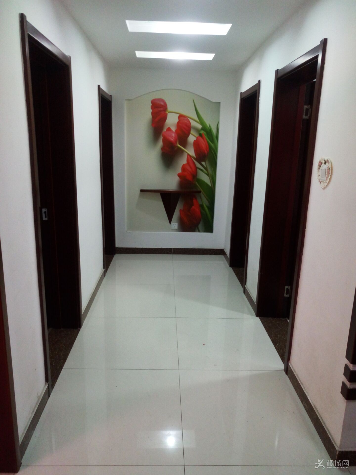 55BE2F596B026FA54ED80628F3F8D1C0.jpg