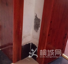 ������ת��