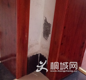 ������ת��