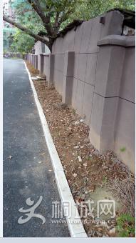 ˵�õ��̻��أ�