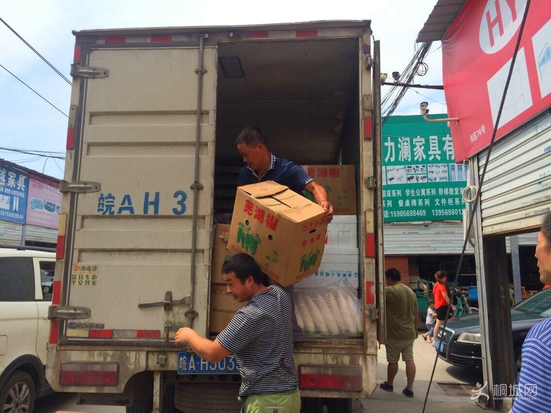 �̻ḱ�᳤����