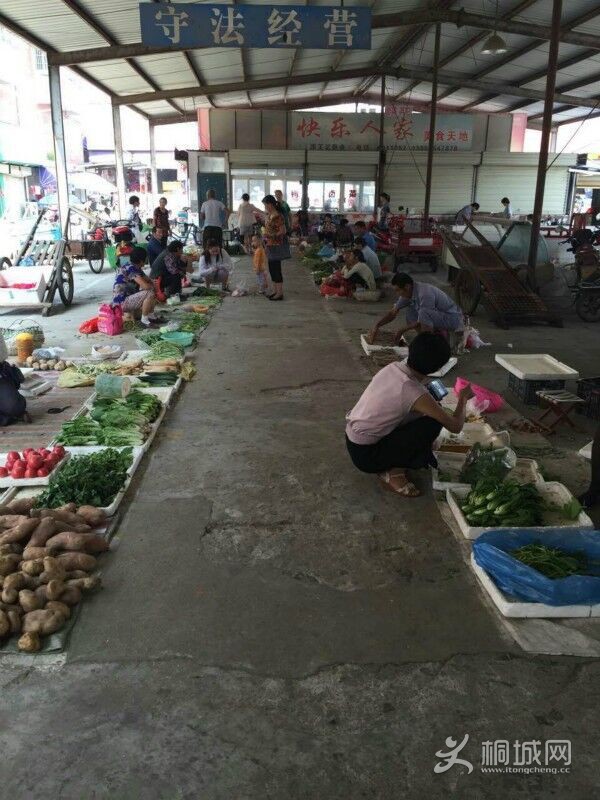 ������ũó�г�