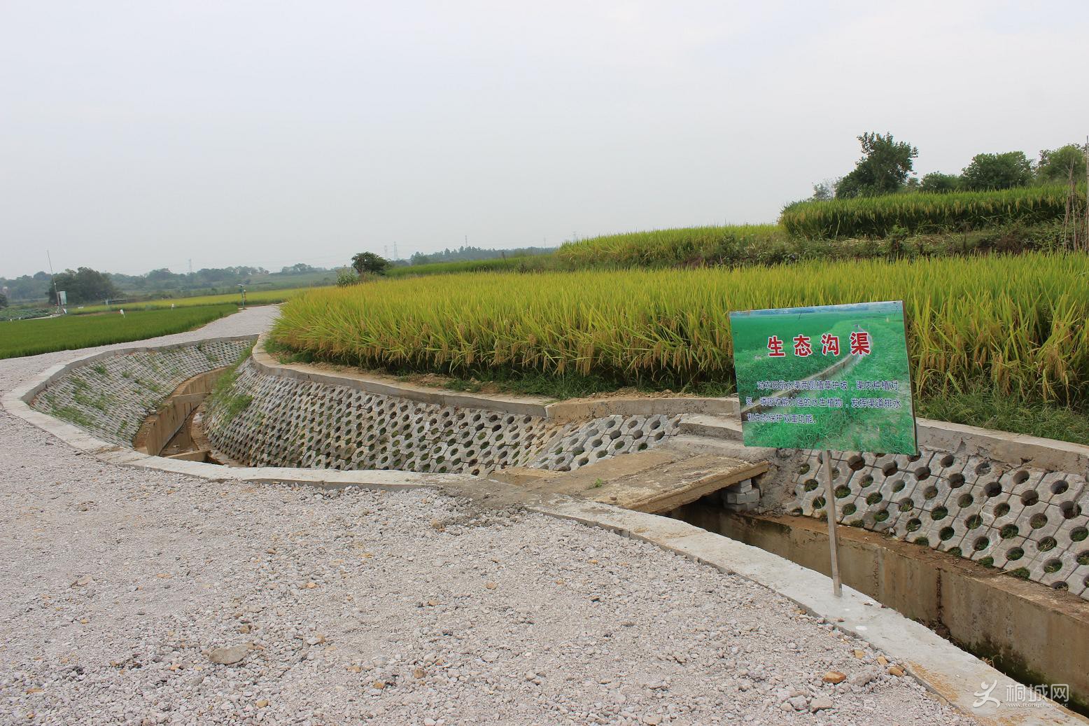 ��Ѽ���� 010_��ͼ��.jpg