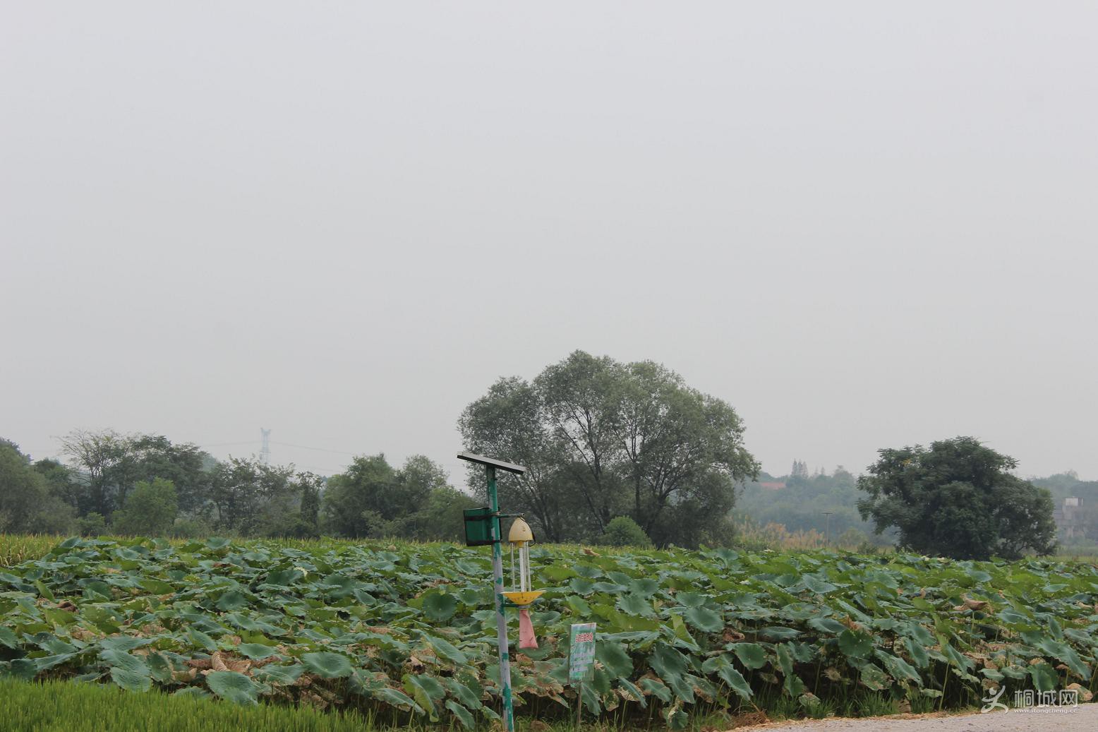 ��Ѽ���� 026_��ͼ��.jpg