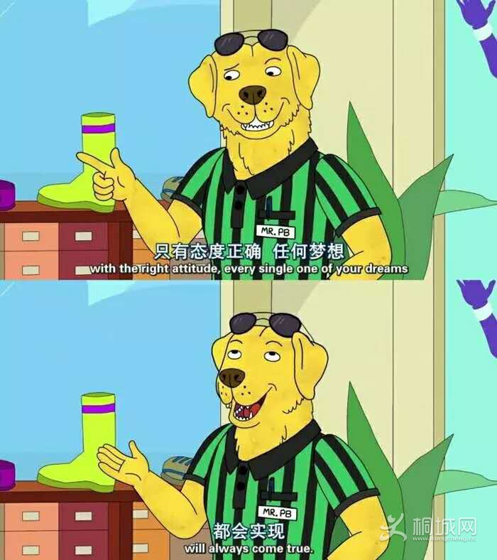109970260728705698.jpg