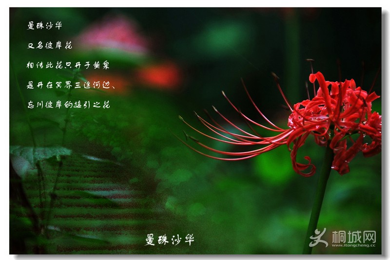 20140524183614_uMxmB.jpeg