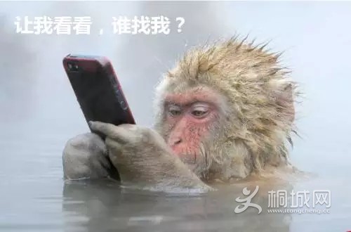 5.webp.jpg