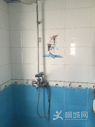 image.jpeg