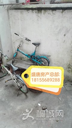 IMG_20161112_163617.jpg