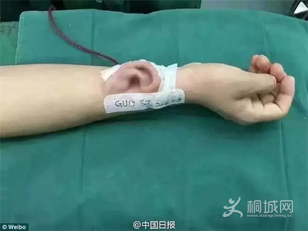 QQͼƬ20161116153122.png