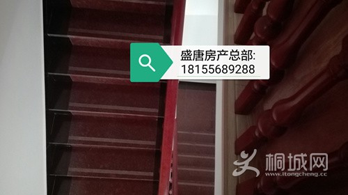 IMG_20161227_135217.jpg