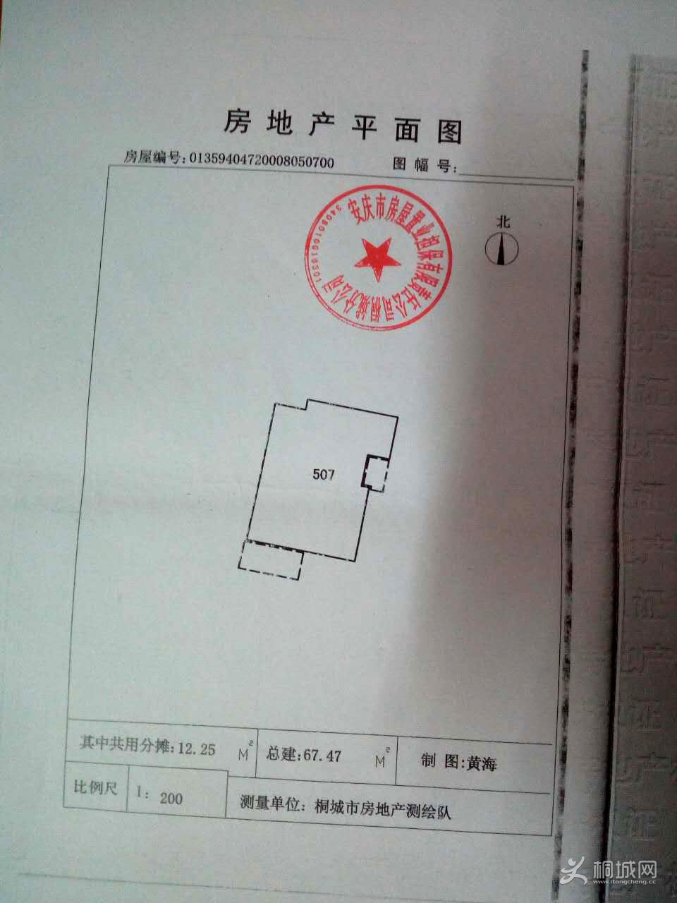 445282610489221451.jpg