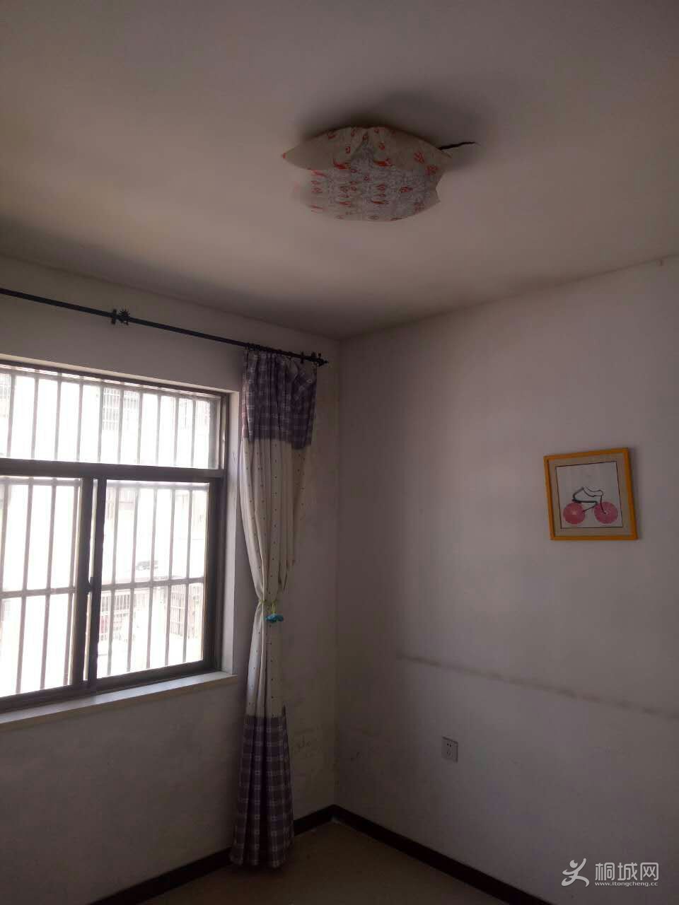 mmexport1491208215887.jpg