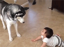1111111111111.gif