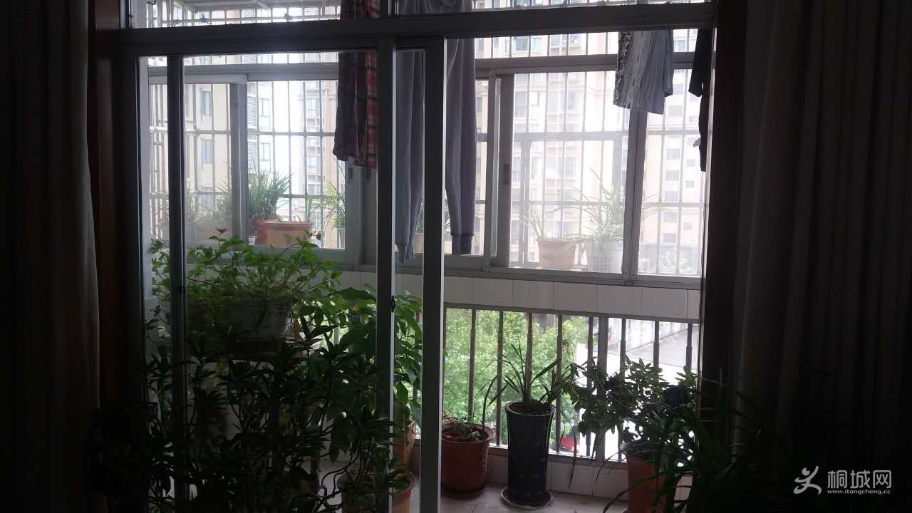 ����̨
