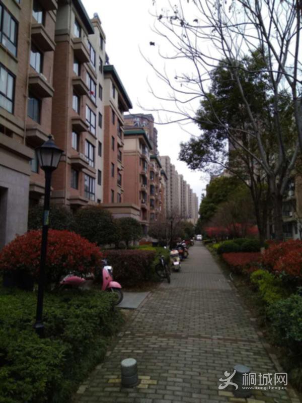 House_835c42c5-098a-4b12-9706-6b28e3b463fe_big.jpg