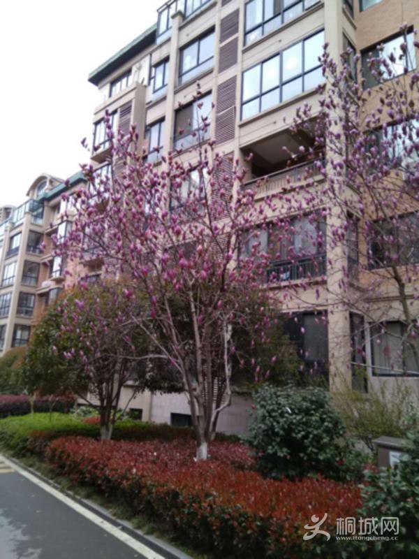 House_cbf30fb9-5b6c-4035-9386-ba2409ca90a5_big.jpg