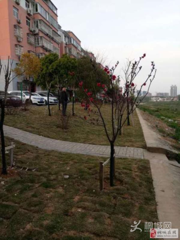 House_48fc0695-1fe3-4c8f-aa1d-db7abfe4dac0_Big.jpg