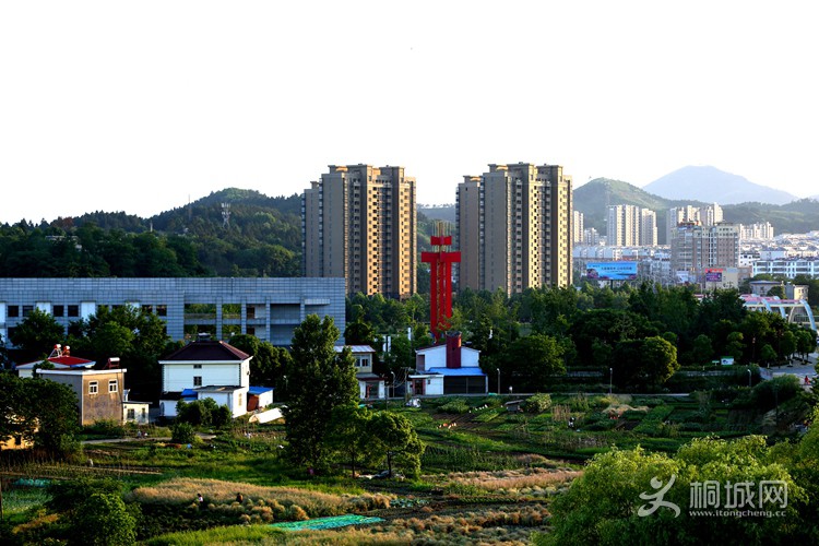 909.jpg