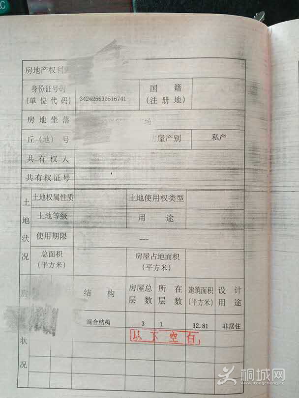111.jpg