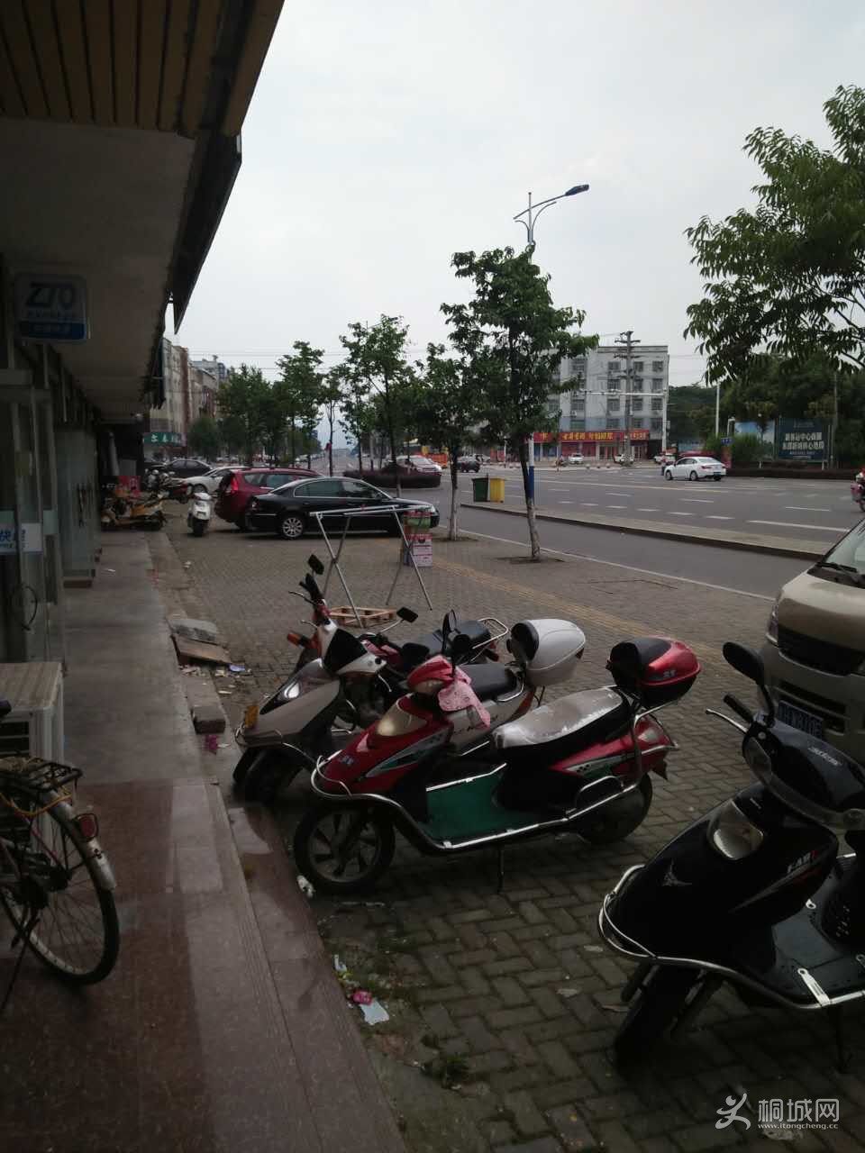as.jpg