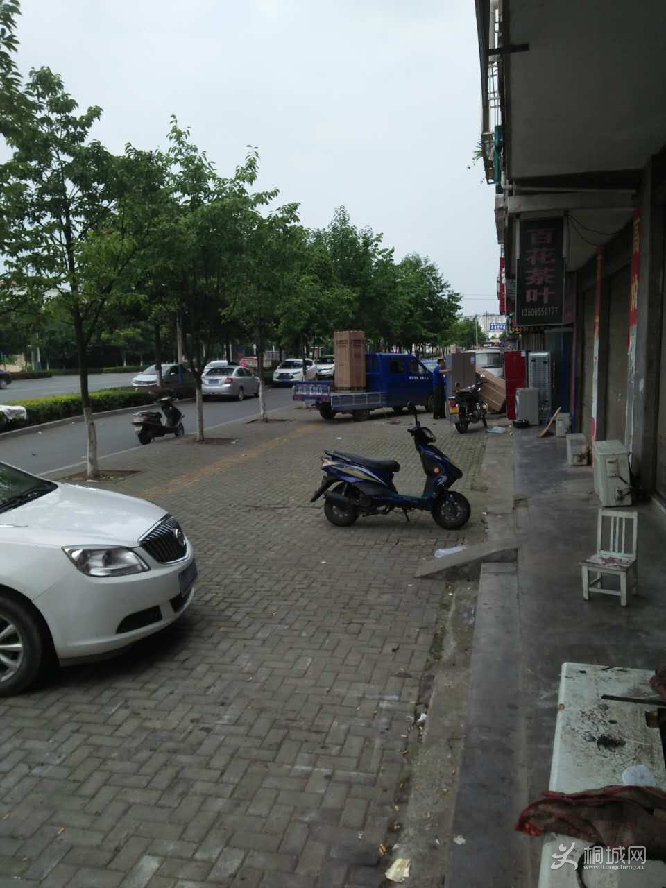 a12.jpg
