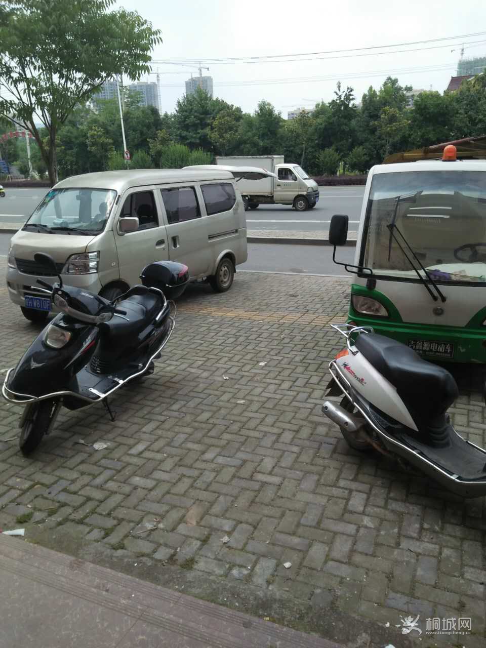 qw12.jpg