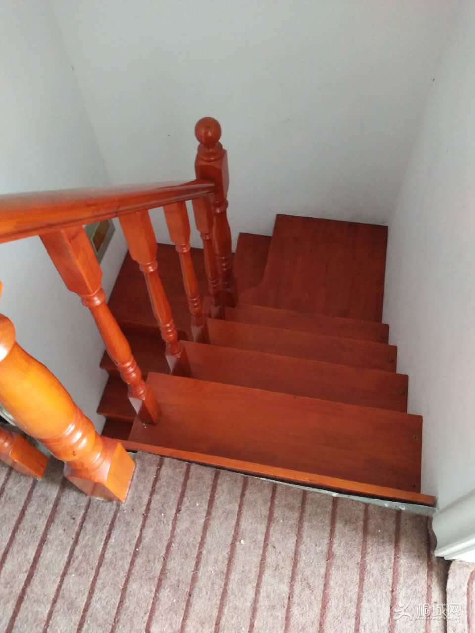 55.jpg