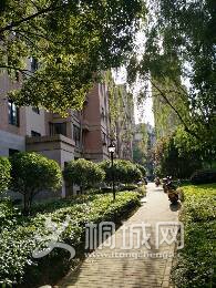 IMG_20170430_163233.jpg.JPG