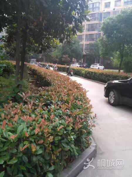 ΢��ͼƬ_20170701135749.jpg