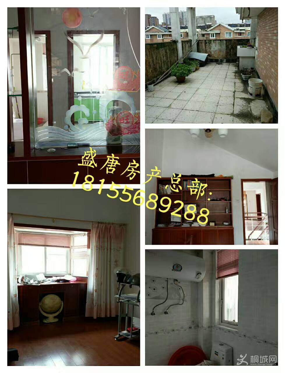 mmexport1499043707743.jpg