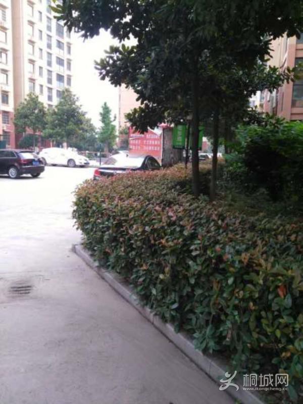 House_bd72d5d4-54c0-4199-9e8a-99b52c0e9cd8_big.jpg