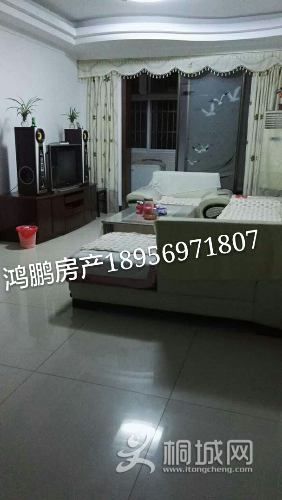 mmexport1500553264806_mh1500602293589.jpg