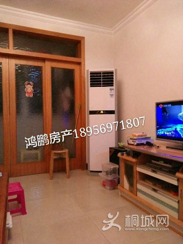 mmexport1500193234363_mh1500193279444.jpg